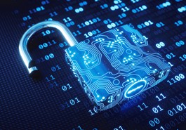 Security lock in the digital world image